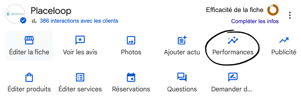 Fiche Google Performances